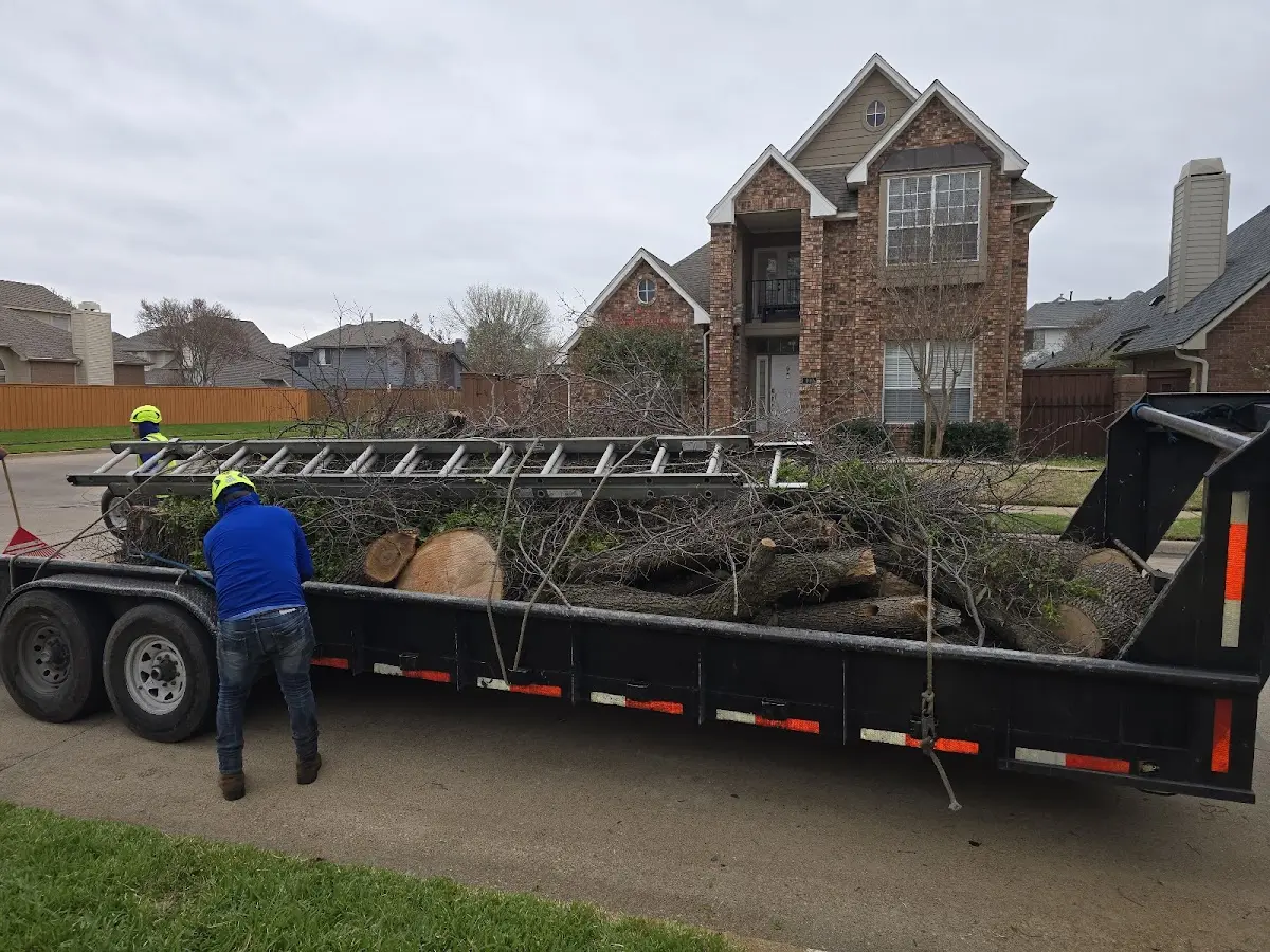 Expert Tree Fertilization with proper safety equipment in Pagosa Springs